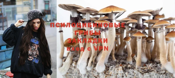 прущие крисы Абинск