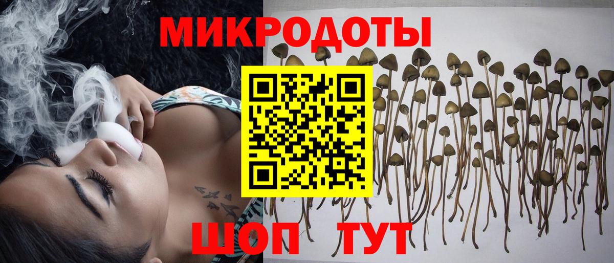 Галлюциногенные грибы MAGIC MUSHROOMS Торжок