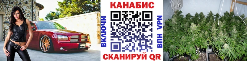 Шишки марихуана марихуана  Торжок 